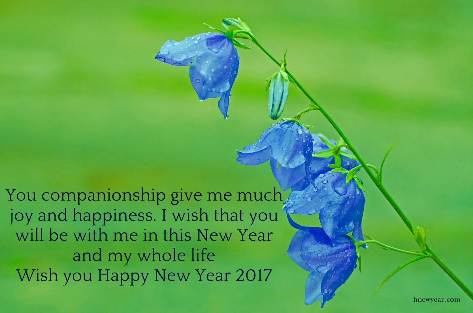 50 Heart Touching New Year Wishes 2017 for Someone Special, Lover