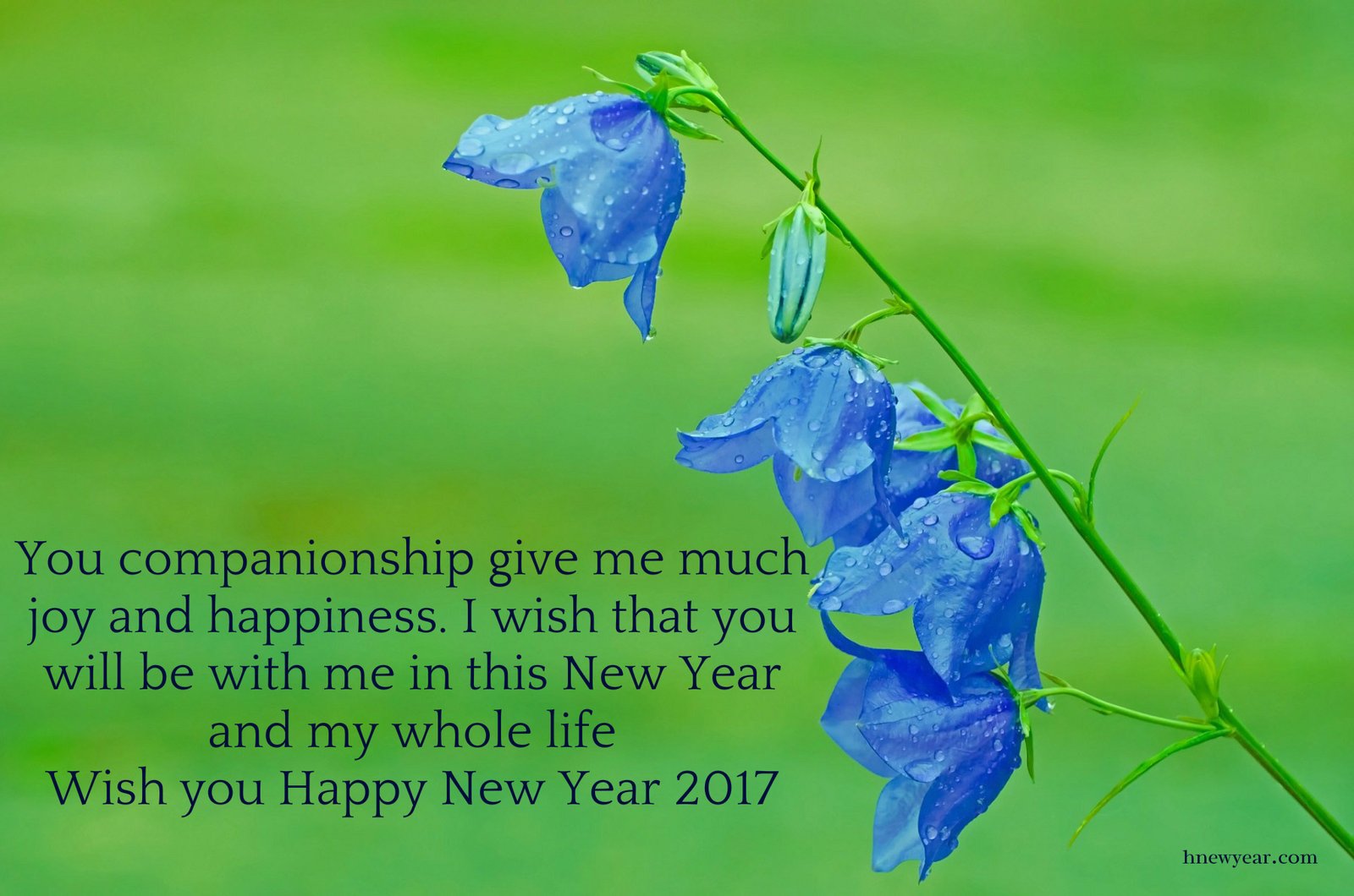 50 Heart Touching New Year Wishes 2017 For Someone Special Lover