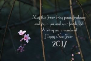 Best New Year Wishes 2017