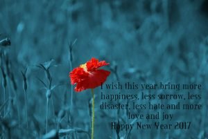 Best New Year Wishes 2017
