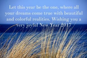 Best New Year Wishes 2017