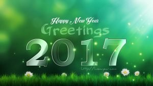 New Year Greetings 2017