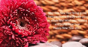 New Year Wishes 2017 for Someone Special