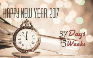 New Year Countdown 2017