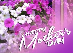 Mother's Day Flowers - Send Best Flowers to MOM with Wishes on Mother's Day