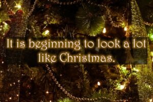 Short Christmas Messages 2022 Wishes, SMS