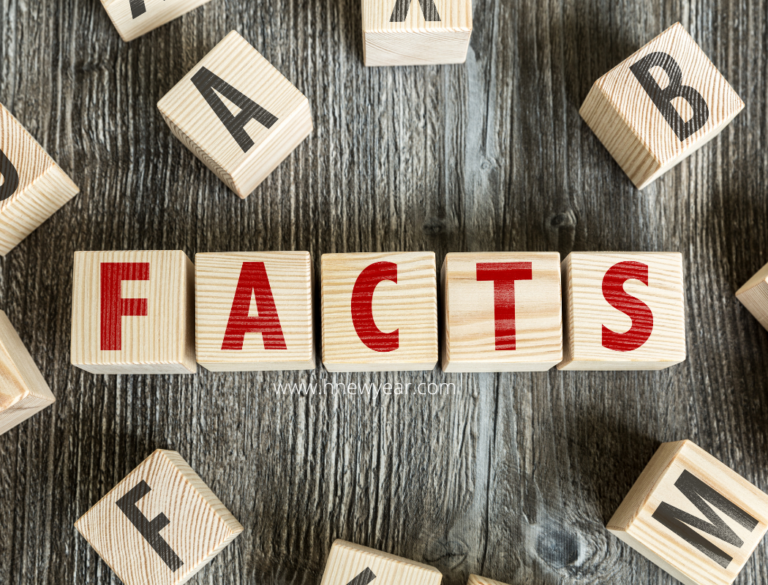 Facts about New Year