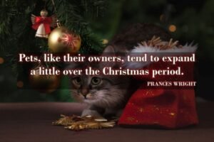 Short Inspirational Christmas Wishes Sayings 2022