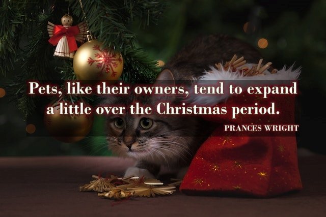 Short Inspirational Christmas Wishes Sayings 2023