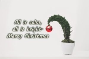 Short Christmas Messages 2023 Wishes, SMS