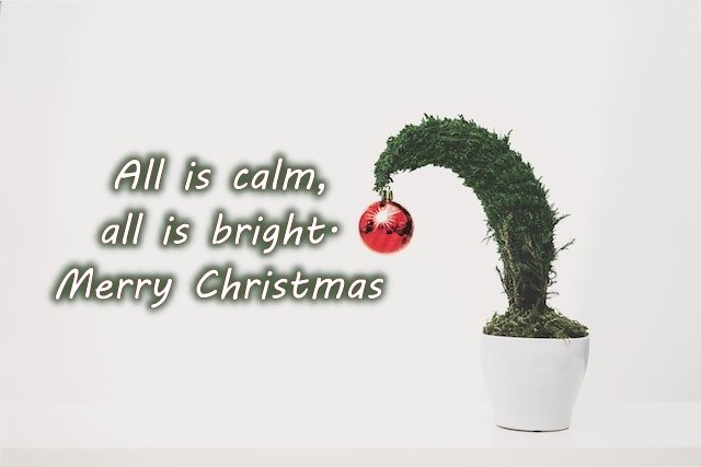 Short Christmas Messages 2023 Wishes, SMS